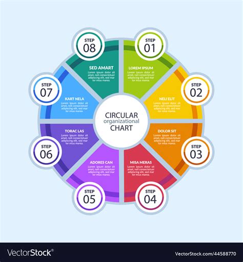 Flat design circular organizational chart Vector Image