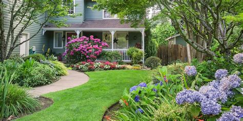 How To Successfully Plant A Hydrangea Tree Platt Hill