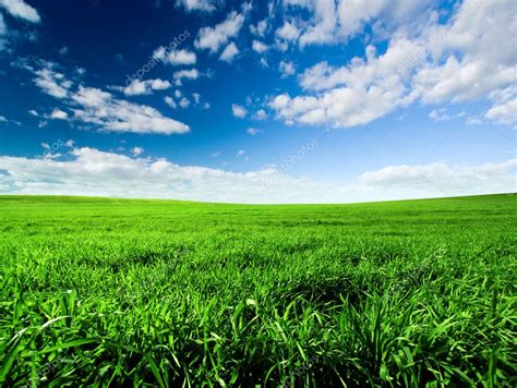 Green Meadow — Stock Photo © Kwest 5204191