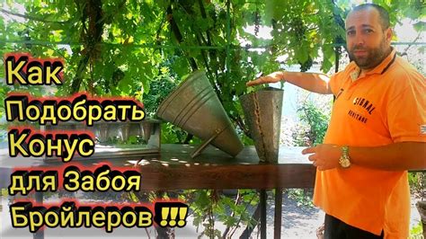 Как Подобрать Конус для Забоя Бройлеров - YouTube