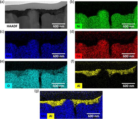 STEMEDX Analysis Of A Cross Section Of NMC701515 Coated By 1 Wt Fumed