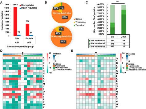 Frontiers A Global Phosphorylation Atlas Of Proteins Within