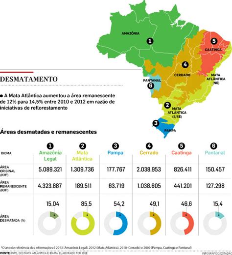 Todos Contra O Desmatamento Desmatamento No Brasil Situação Atual