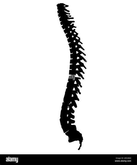 Spine Cord Icon Human Spine Sing Spine Pain Medical Center Symbol