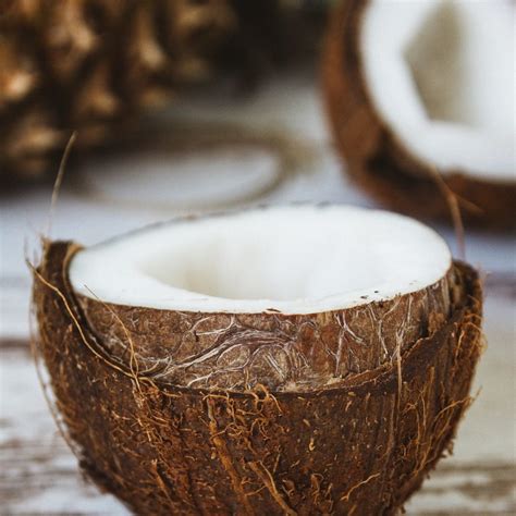 raw coconut oil organic beewax balms  eczema skin