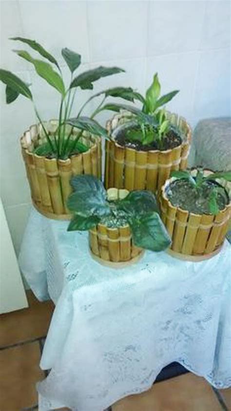 15 The Most Creative Planters Made Out Of Bamboo