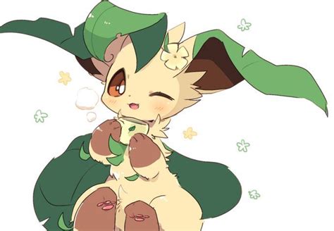 Extremely Cute Leafeon | Fotos de pokemon xyz, Fotos de pokemon, Cosas ...