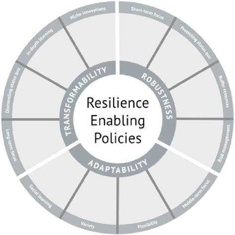 The Resilience Assessment Tool The Wheel Illustrates The Indicators Download Scientific