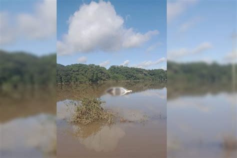 Casal Encontrado Morto Em Ve Culo Submerso Em Rio Da Regi O Pode Ter