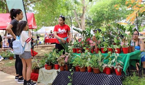 Im Genes De La Feria Familiar Que La Alcald A De Panam Realiz En