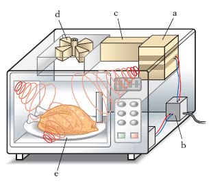 Schema Elettrico Forno Microonde Samsung Fare Di Una Mosca