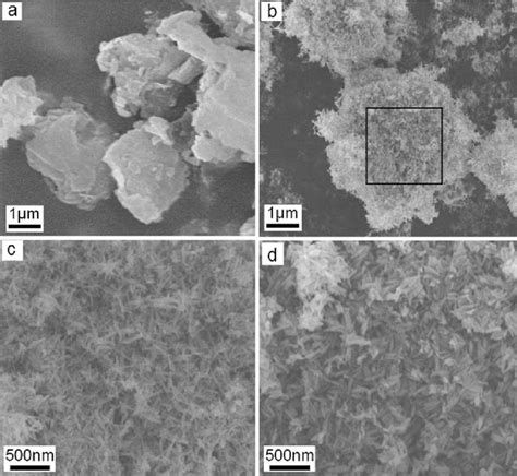 Sem Images Of Pure Mmt A Micro Nano Structured Mmt Tio Particles