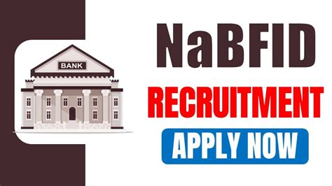 National Bank For Financing Infrastructure And Development Recruitment