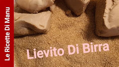 Come Usare Il Lievito Di Birra Fresco Secco Ed Istantaneo Youtube