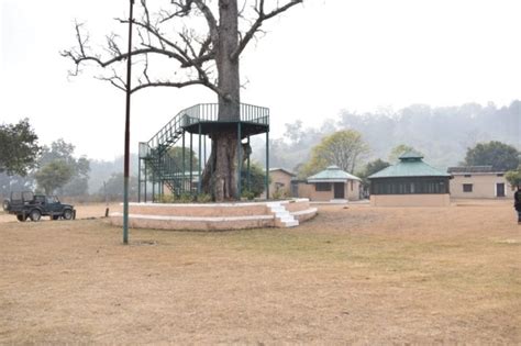 Jim corbett tiger reserve - Corbett national park - Jim Corbett safari