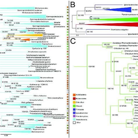 Enzymatic Map Of The Rtca Cycle Enzymes Catalyzing Each Reaction