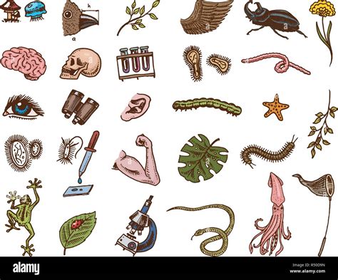 Scientific Laboratory In Biology Icon Set Of Biochemistry Research