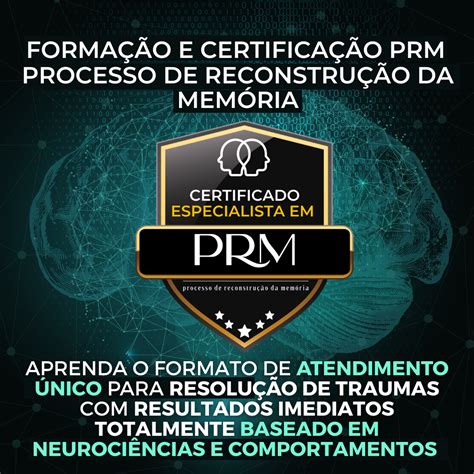 Prm Processo De Reconstru O Da Mem Ria Dani Ballester