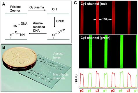 Centrifugal Microfluidic Lab On A Chip System With Automated Sample