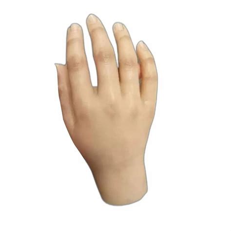 silicone hand prosthesis  delhi ncr  rs  body part silicone