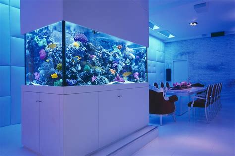 Most Expensive Aquarium