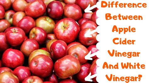 Difference Between Apple Cider Vinegar And White Vinegar Youtube