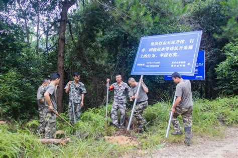 安远县高云山林场持续开展打击非法开采稀土巡查监管工作 关注森林