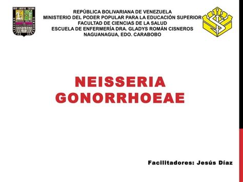 Neisseria Gonorrhoeae Ppt