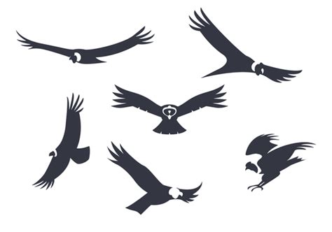 Condor Logo Vector Art, Icons, and Graphics for Free Download