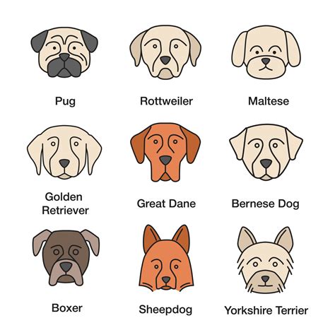 Dogs breeds color icons set. Pug, Rottweiler, Maltese, Golden Retriever