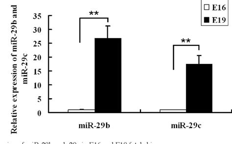 Figure From Microrna Profiling In Mid And Late Gestational Fetal