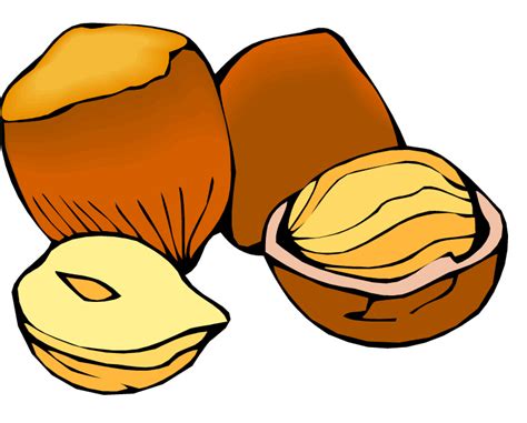nut clip art   cliparts  images  clipground