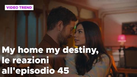 My Home My Destiny Il Riassunto E Le Reazioni Del Novembre