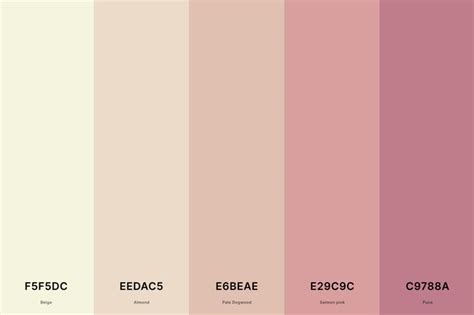 25+ Best Beige Color Palettes with Names and Hex Codes en 2024