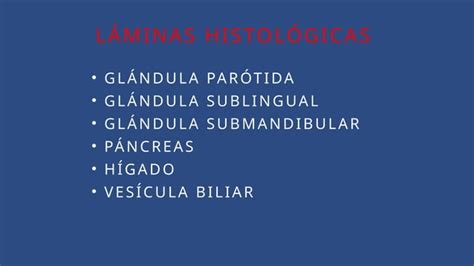 Histologia Del Aparato Digestivo Glandulas Ppt