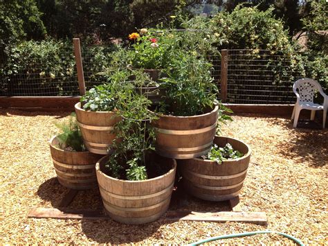 Whiskey Barrel Garden Planter Garden Plant