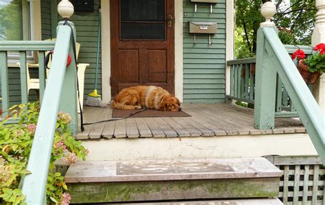 Dog Sleeping On Porch Free Stock Photo Public Domain Pictures