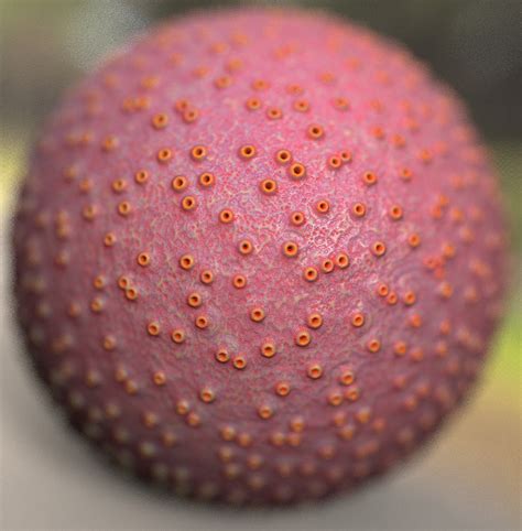 cell nucleus  behance