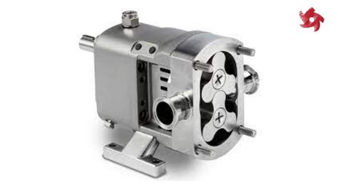 Lobe Pumps – Pump Industry