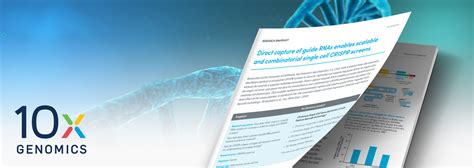 Combinatorial Single-Cell CRISPR Screens