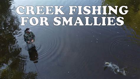 Creek Fishing For Smallmouth Bass Smallmouthbassfishing Fishing