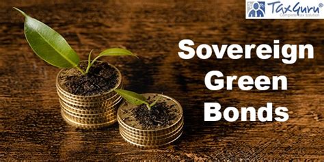 RBI Includes Sovereign Green Bonds In Fully Accessible Route