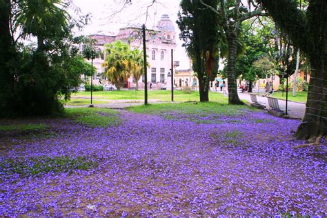 Viaje Por Pelotas Praça Coronel Pedro Osório