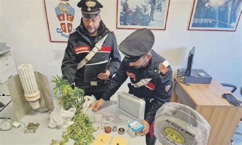 Spaccio Di Droga Arrestato Un Insospettabile Di 33 Anni Latina Oggi