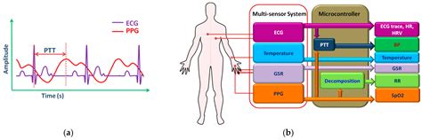 Sensors Free Full Text Wearable Sensors For Remote Health Monitoring