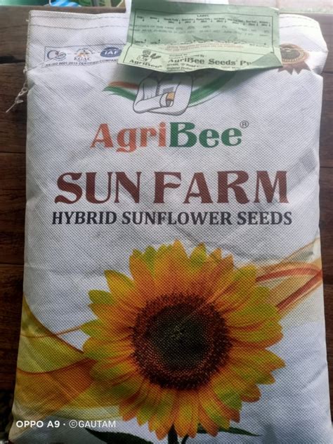 Natural Black Agribee Hybrid Sunflower Seeds For Agriculture