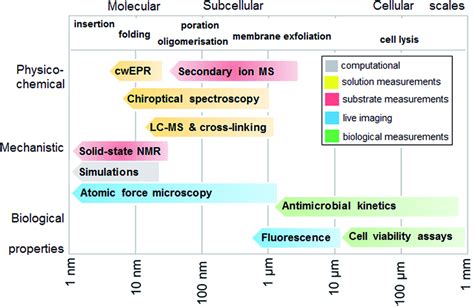 measurement continuum  schematic representation