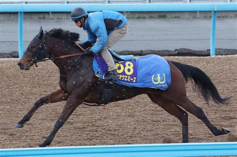 【有馬記念】ホウオウエミーズ推進力ある走りで順調、鈴木助手「いつも通り元気いっぱいの動き」 競馬写真ニュース 日刊スポーツ