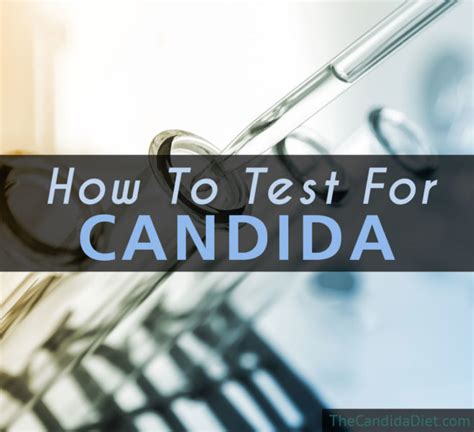 Testing For Candida » The Candida Diet