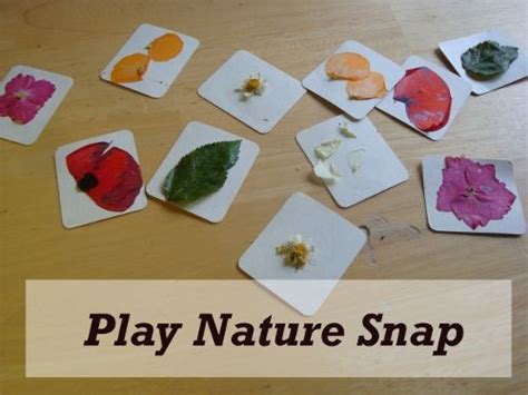 Bring Nature Inside With A Few Simple Activities Nature Nature Games